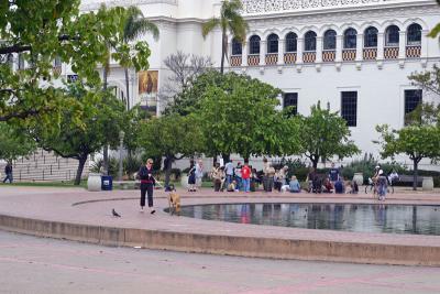 The Fountain