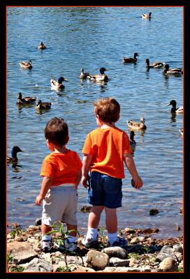 Kids and Ducks