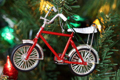 I got a new bike for Christmas!!!