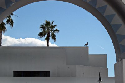 City Hall