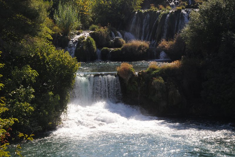 DSC_7294.jpg