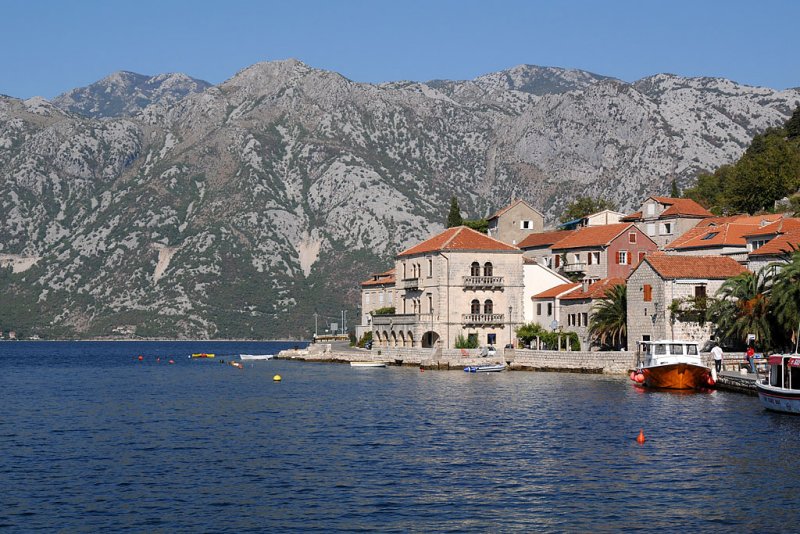 DSC_0306.jpg