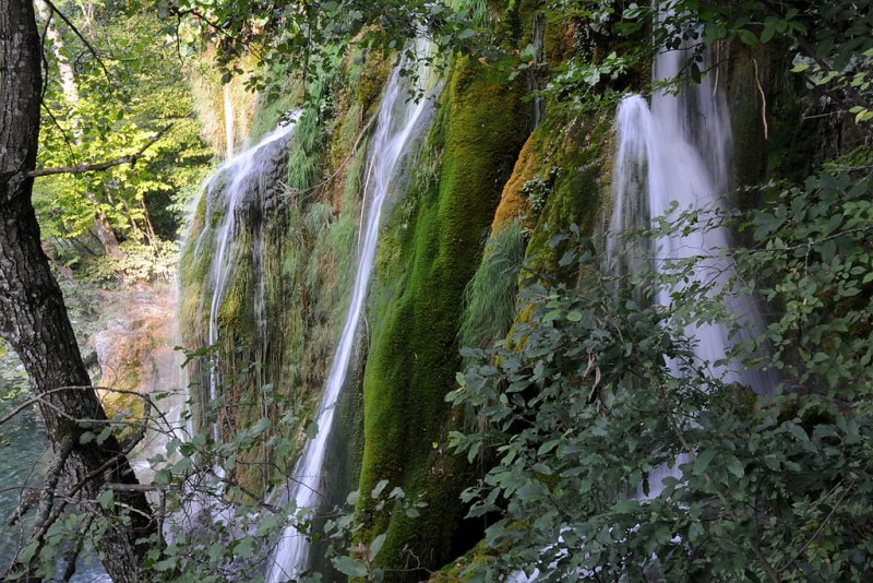 DSC_5727.jpg