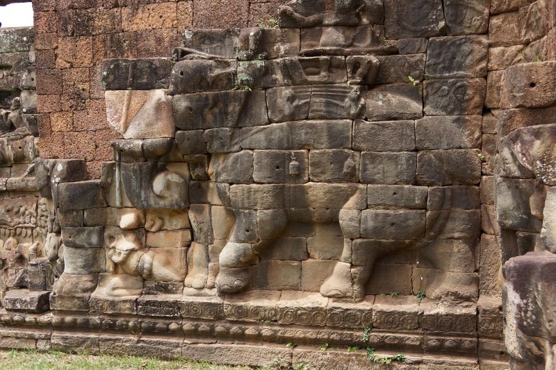 Elephant Terrace