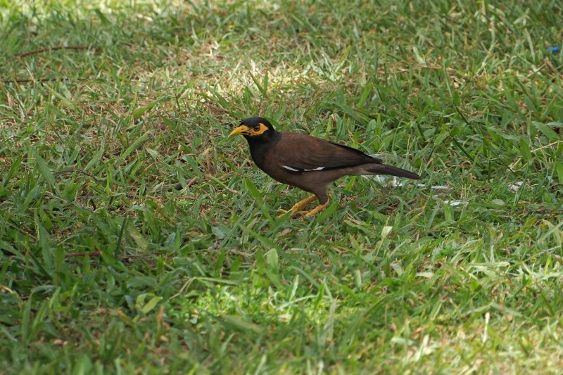DSC02406.jpg