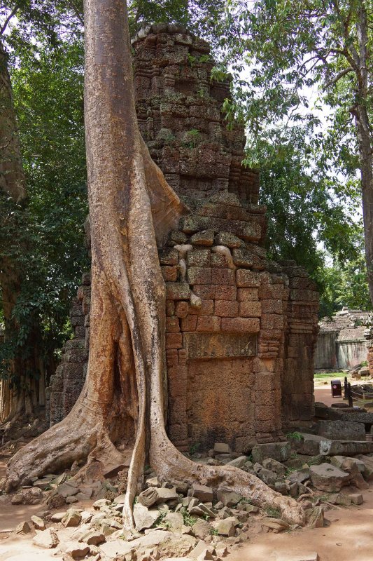 Ta Prohm