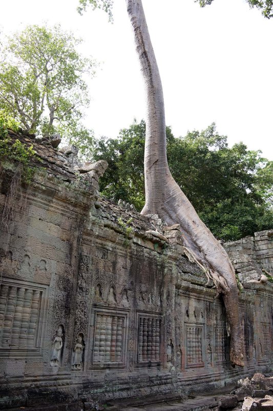 Preah Khan