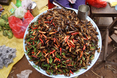 Roadside Markets