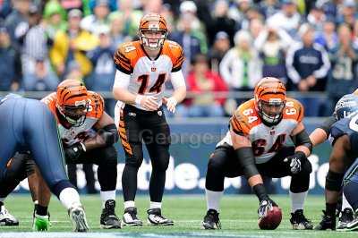 Bengals_Seahawks_72pi007.JPG