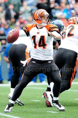 Bengals_Seahawks_72pi041.JPG