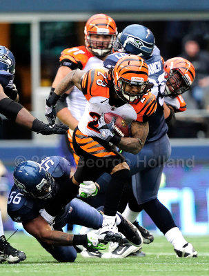 Bengals_Seahawks_72pi107.JPG