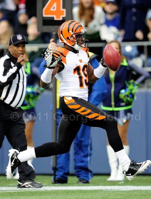 Bengals_Seahawks_72pi177.JPG