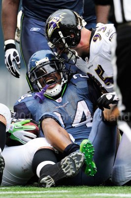 Ravens_Seahawks_72pi_036.jpg