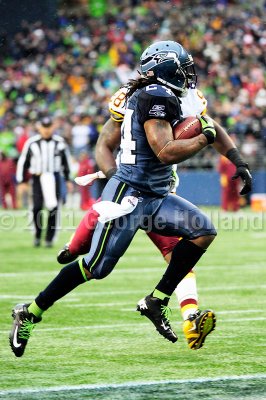 Redskins_Seahawks_72pi_069.jpg