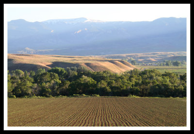 Big Horn Basin Fields