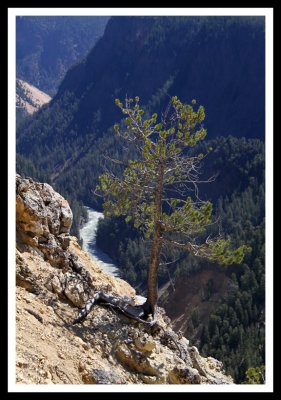 Living on the Edge