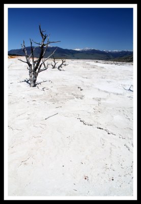 Not Snow_vertical
