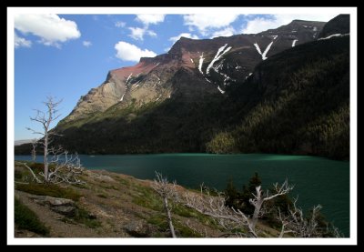 St. Mary Lake and Windblown Trees