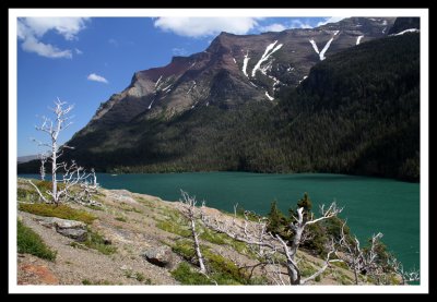 St. Mary Lake and Crazy Trees