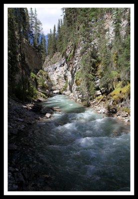 Light in Johnston Canyon