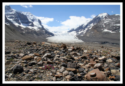 Athabascan Glacier and Moraine