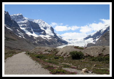 Trail to Athabascan Glacier Lookout