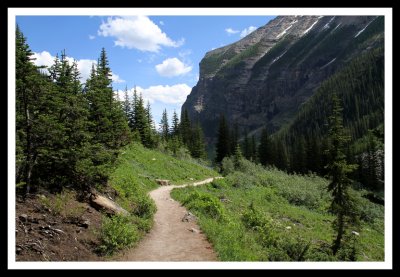 Trail through Mountain Meadows