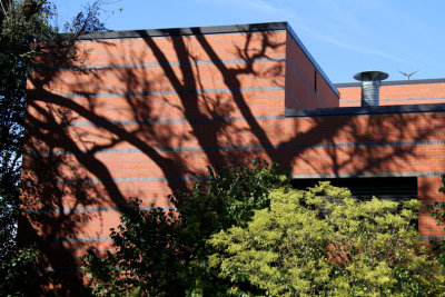 ISU Building Shadow Abstract