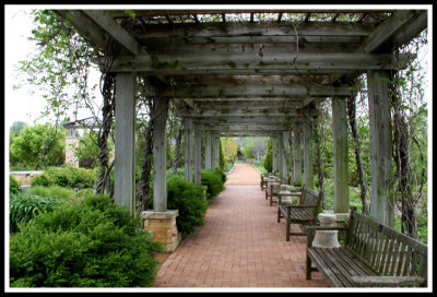 Trellised Walkway