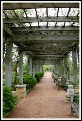 Trellised Walkway_vertical