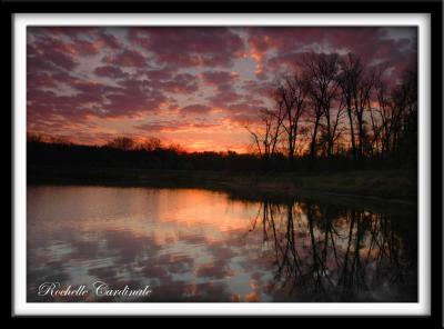 Paisley Morning on Cottonwood