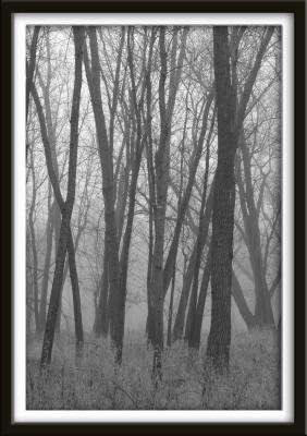 Haunted Forest Vertical