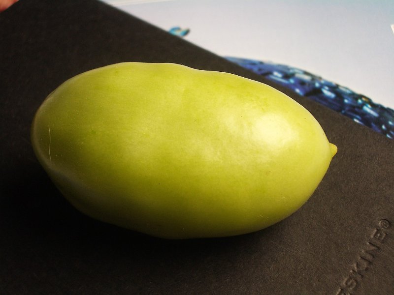 Green Roma Tomato