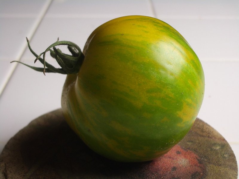 Green Zebra Tomato - Lycopersicon esculentum