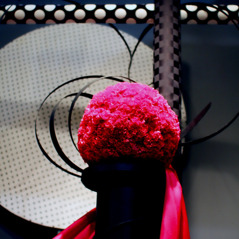 5 february 2011