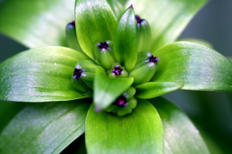 9 may 2011