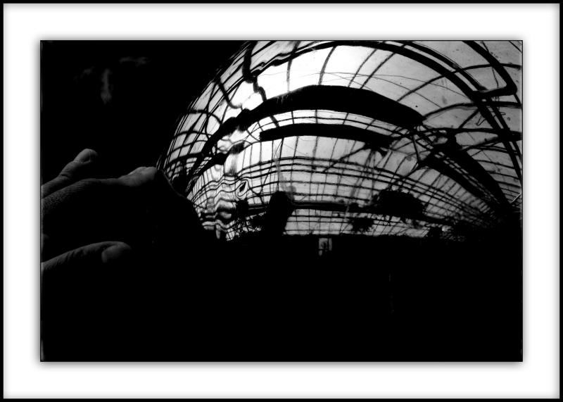 garden globes 51