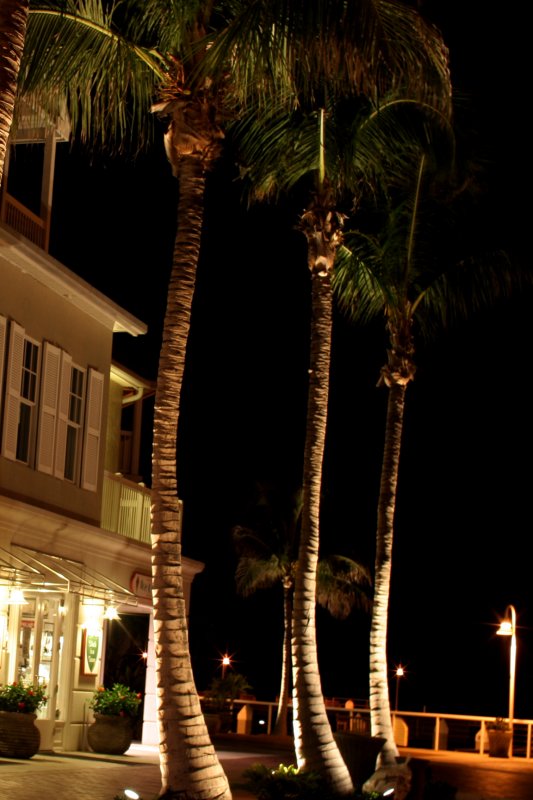key west at the hilton