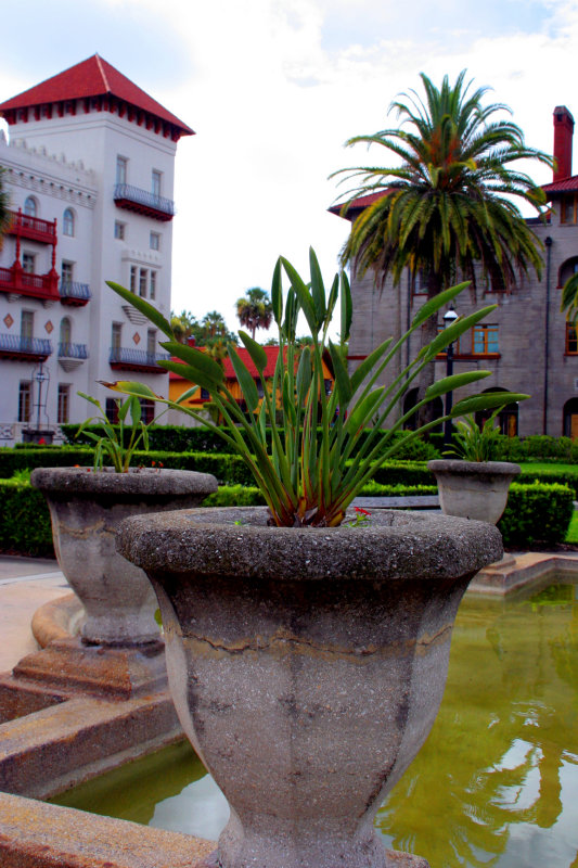 beautiful garden