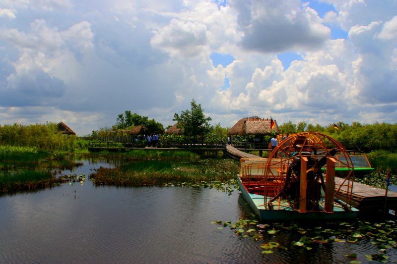 the everglades