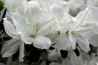5 may 2011