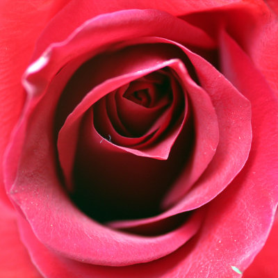 8 may 2011