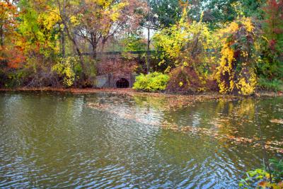 le drainage de l'automne