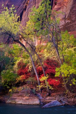 Fall Zion National Park