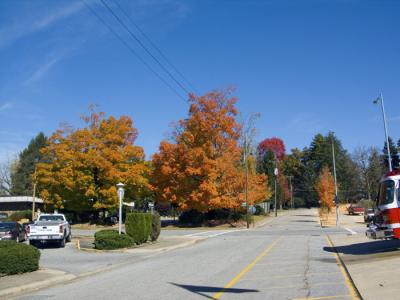 Autumn in Blue Ridge