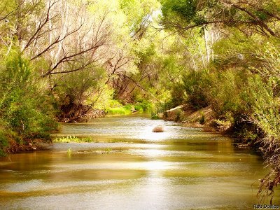 San Pedro River, National Conservation Area