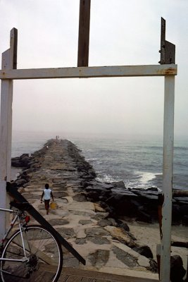 Fishing Jetty in the Fog
