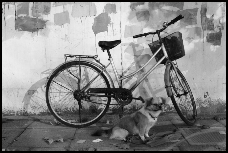 Bike with a Bite, Shanghai 2006