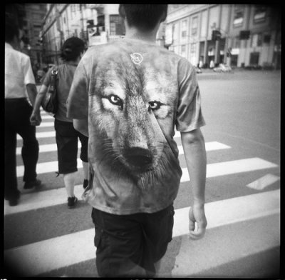 Lone Wolf, Shanghai 2012