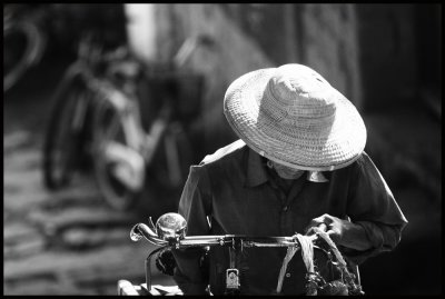 The Steed, Guangxi 2006